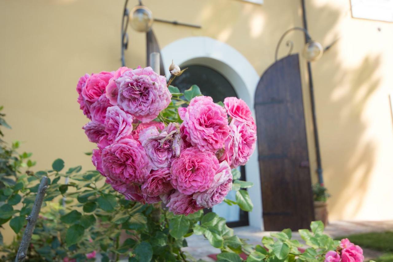Casa Dei Lecci Apartment Foligno Bagian luar foto